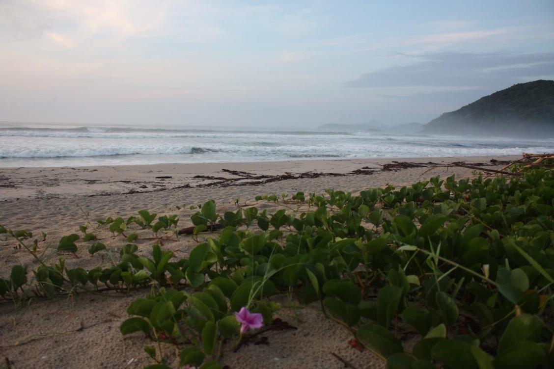 Maloquinha Itamambuca. A Mais Charmosa De Ubatuba. Exterior foto